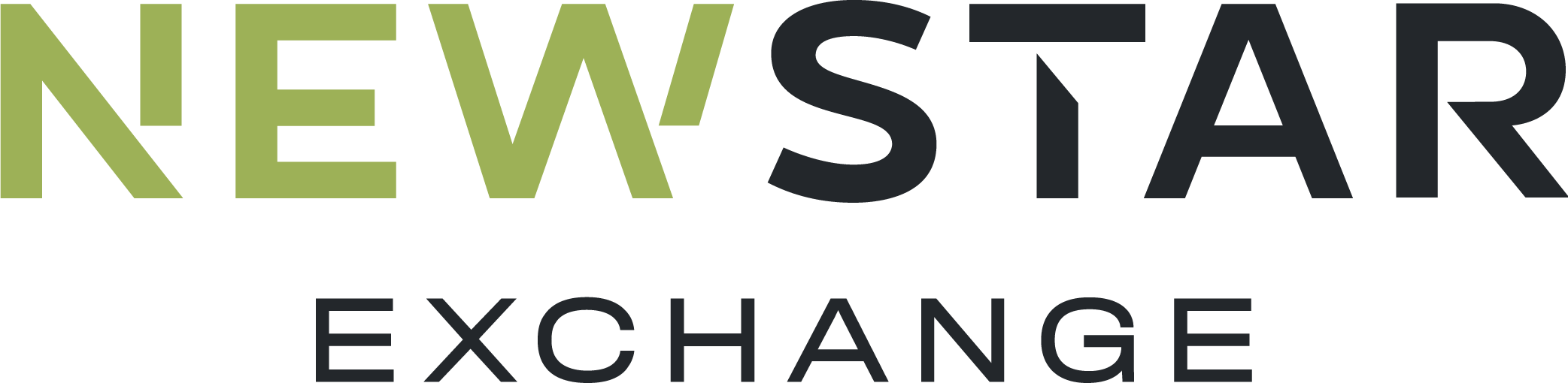 Newstar Exchange logo